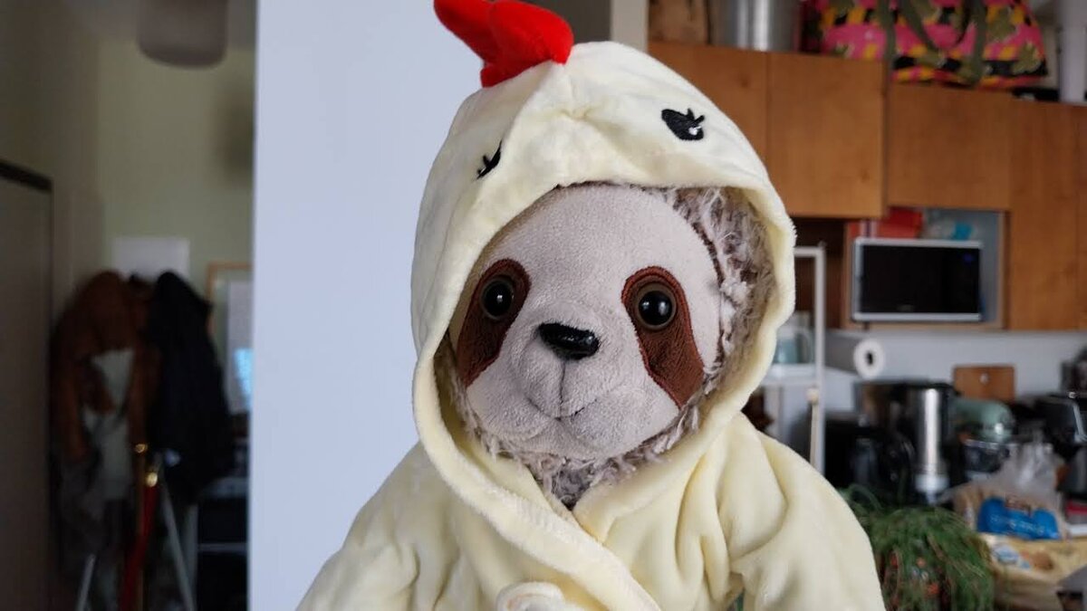 Corn in a chicken costume