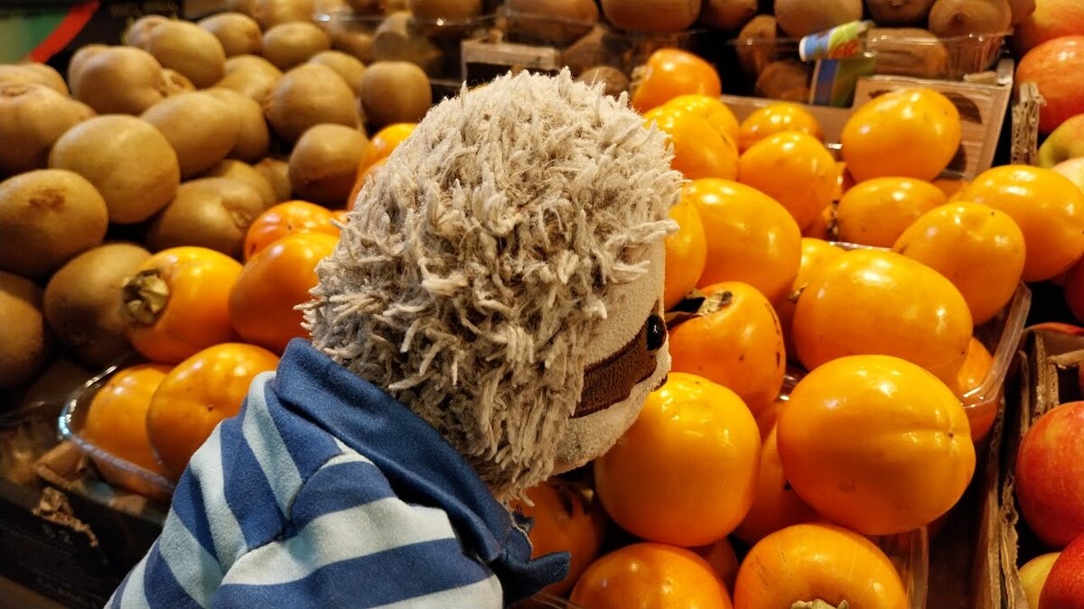 Corn among persimmons