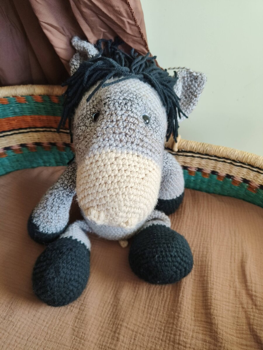 Herman in a bassinet